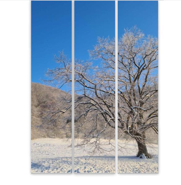 Flächenvorhang Winterpoesie  3er Set, Schiebegardine, Schiebegardinen, blickdicht, Flächenvorhang blickdicht, Schiebevorhang,